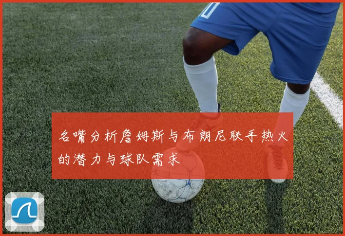 名嘴分析詹姆斯与布朗尼联手热火的潜力与球队需求